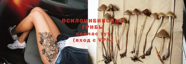 a pvp Богородицк