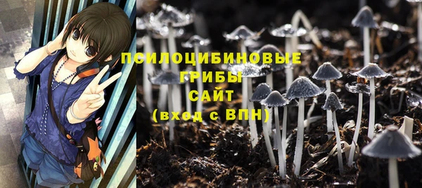 a pvp Богородицк