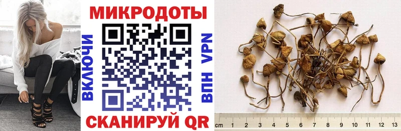 Псилоцибиновые грибы MAGIC MUSHROOMS  Купить  Балахна 